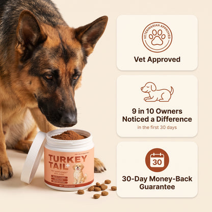 Loyal Bowl's Immune & Gut Blend
