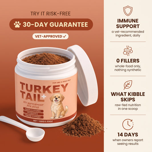 Loyal Bowl's Immune & Gut Blend