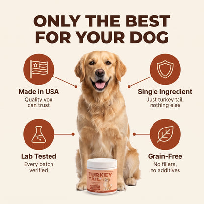 Loyal Bowl's Immune & Gut Blend